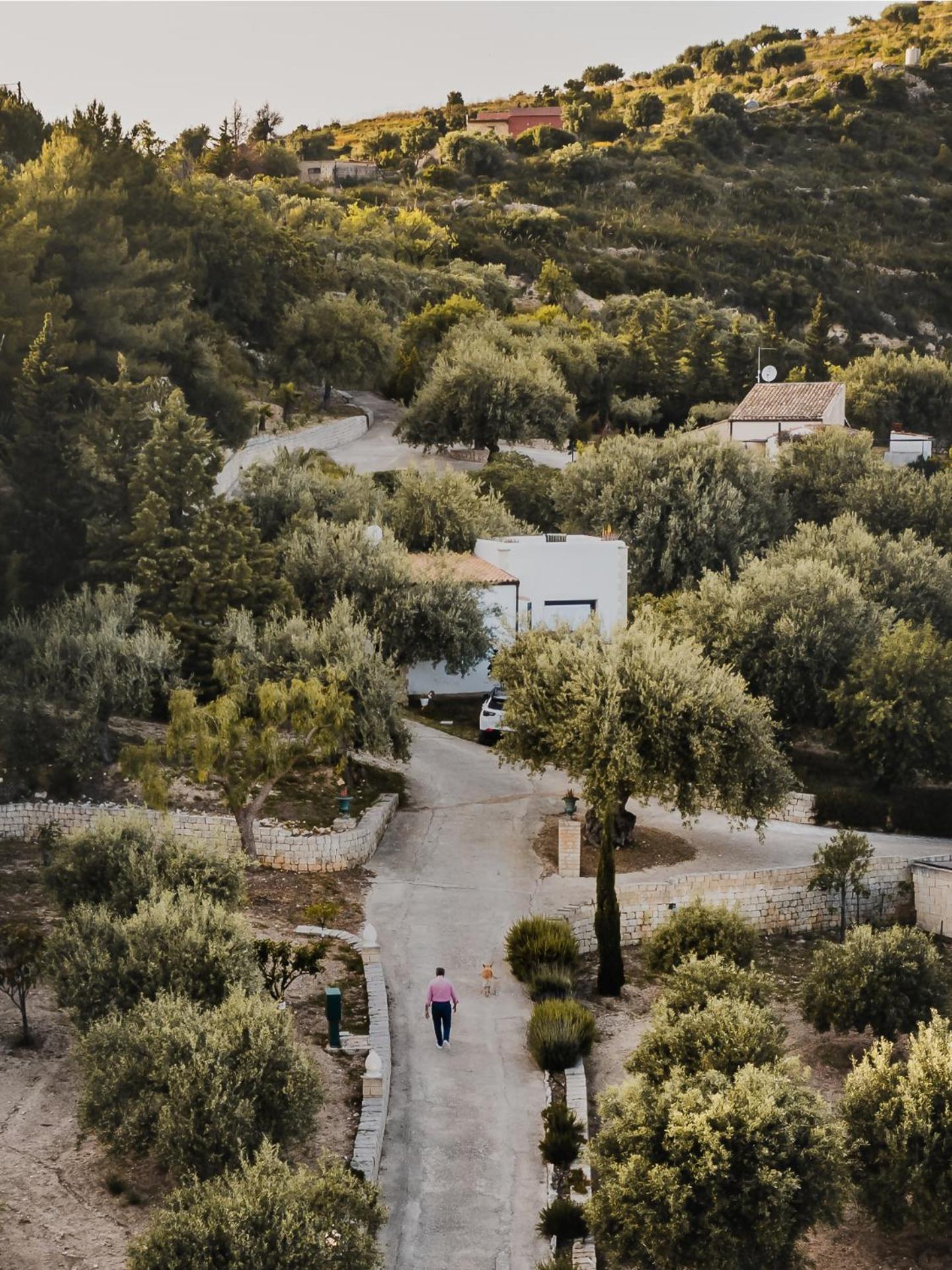 Tenuta Olive Alive Noto Oda fotoğraf