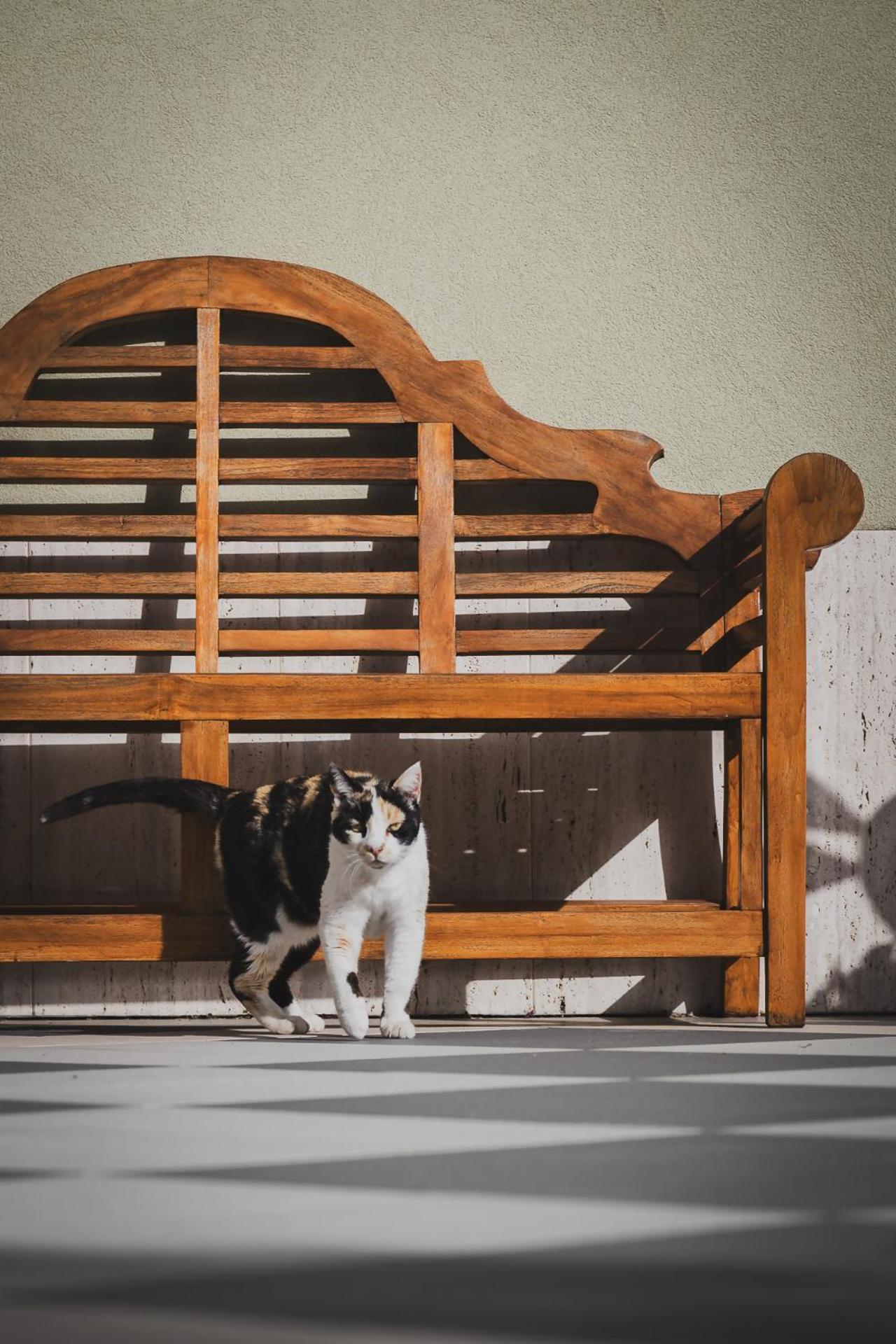 Tenuta Olive Alive Noto Dış mekan fotoğraf